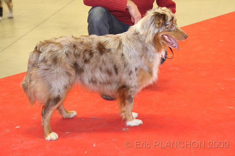 PDS - 0335.JPG